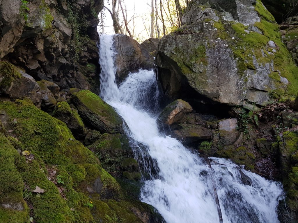 20180409_101527-1024x768